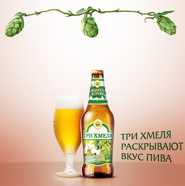 Презентация нового сорта пива «Сибирская корона. 3 хмеля» от «САН ИнБев»